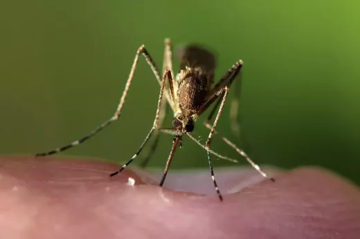 Don't be too hard on yourself